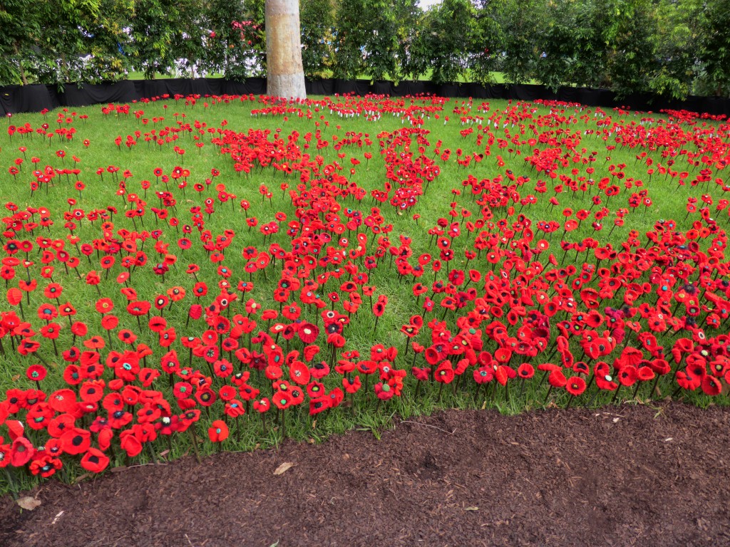 Poppies from 'Lest we forget' landscape garden