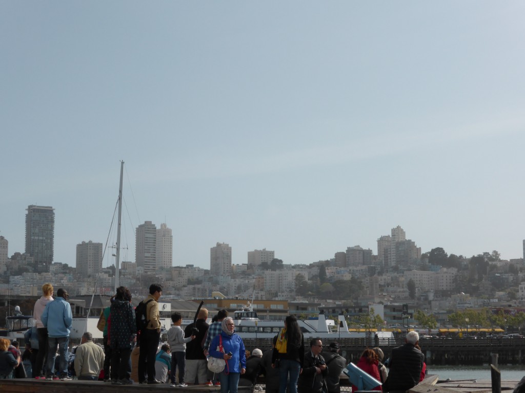 The view of SF from Pier 39