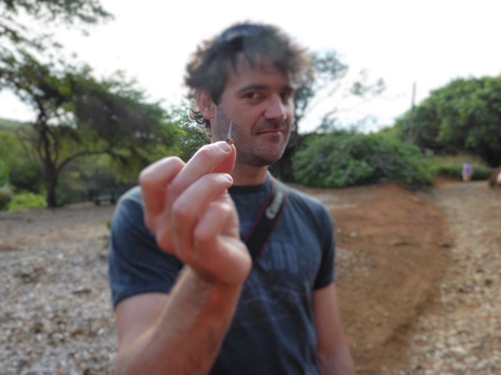 Thorsten's first thorn at the botanical gardens