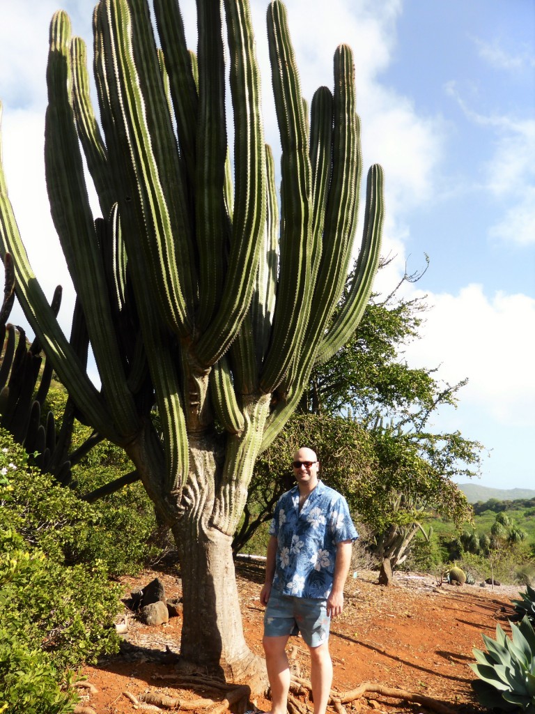 Cactus - Look at the size of it!