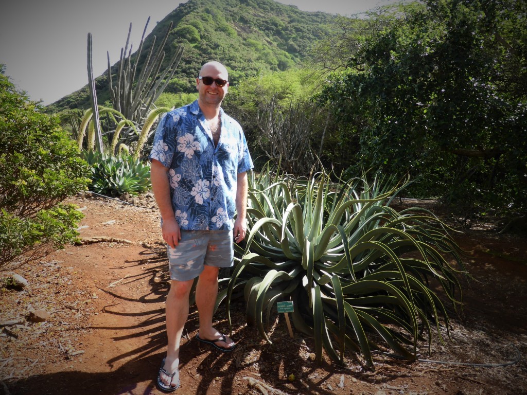 Octopus Agave