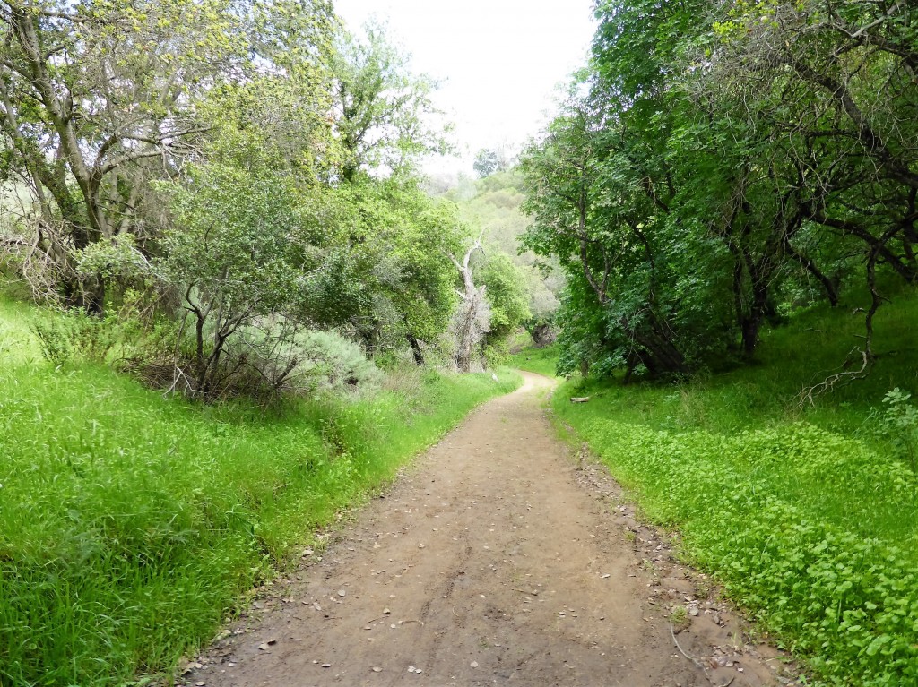 The camera isn't conveying how steep this path is.