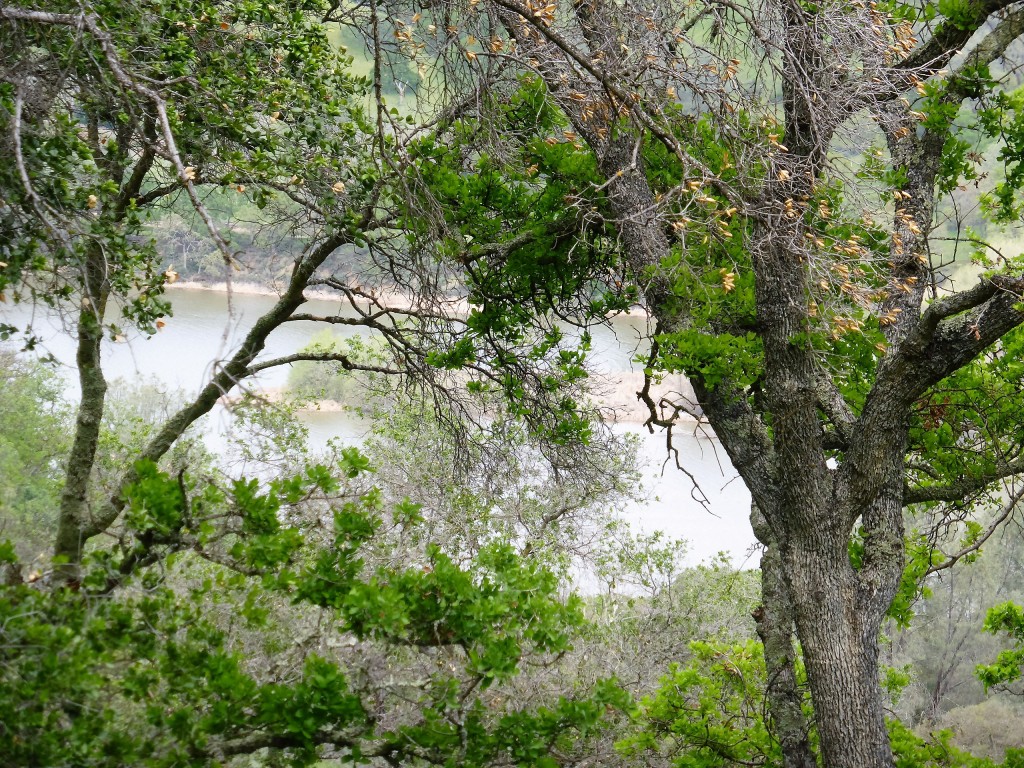 The view of the lake from our hiking trail