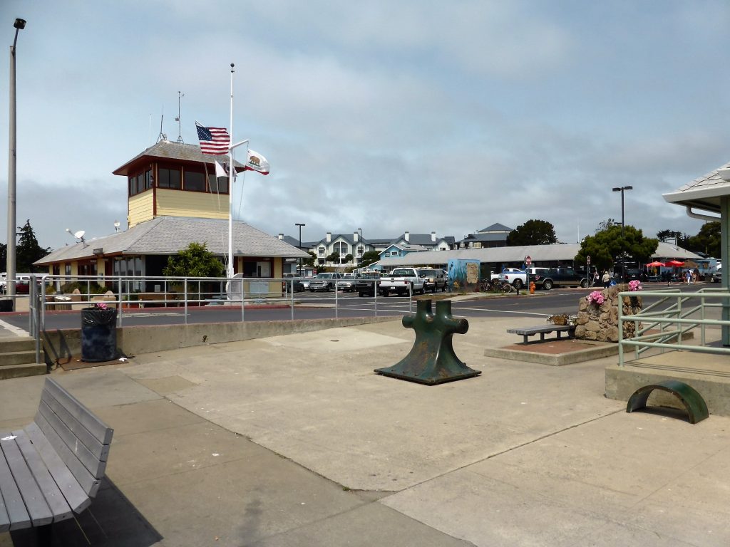 From the pier at Half Moon Bay