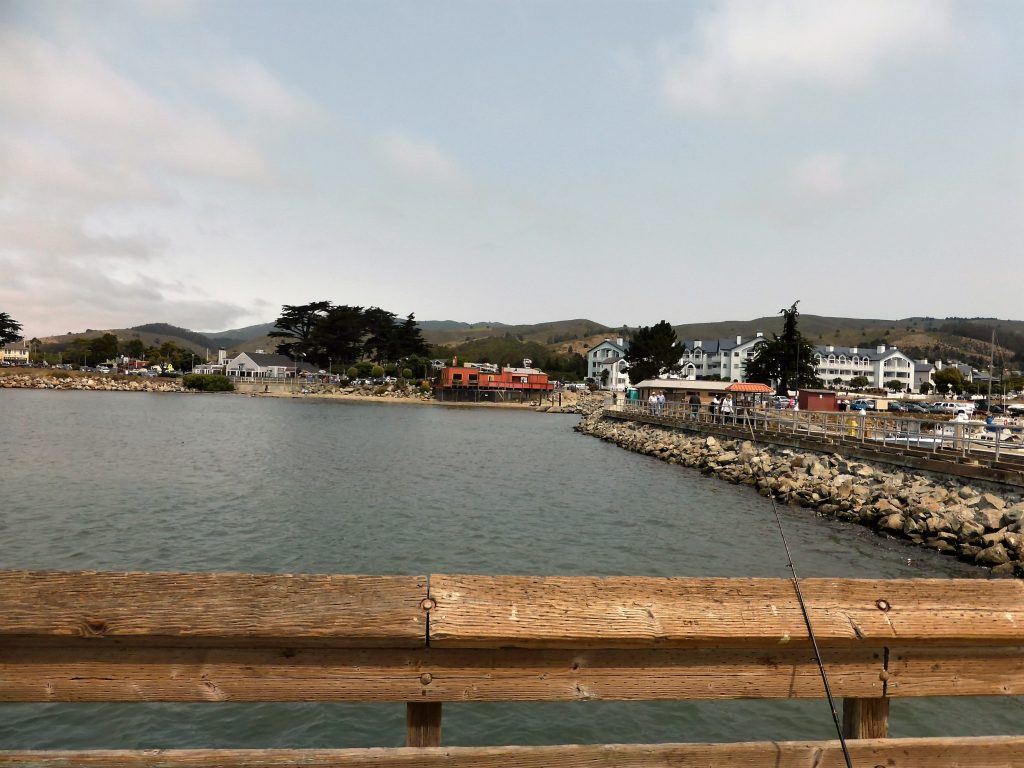 From the pier that people were fishing at.