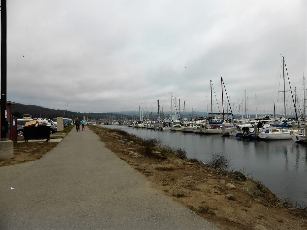 All the fishing boats