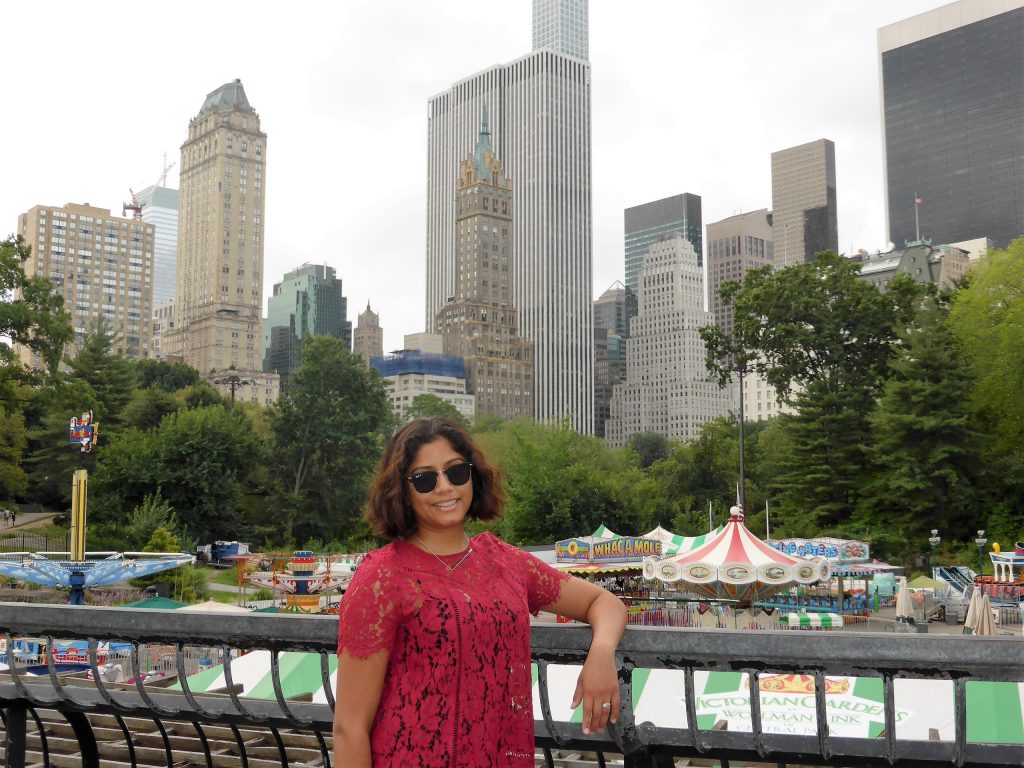 The view of the buildings from Central Park