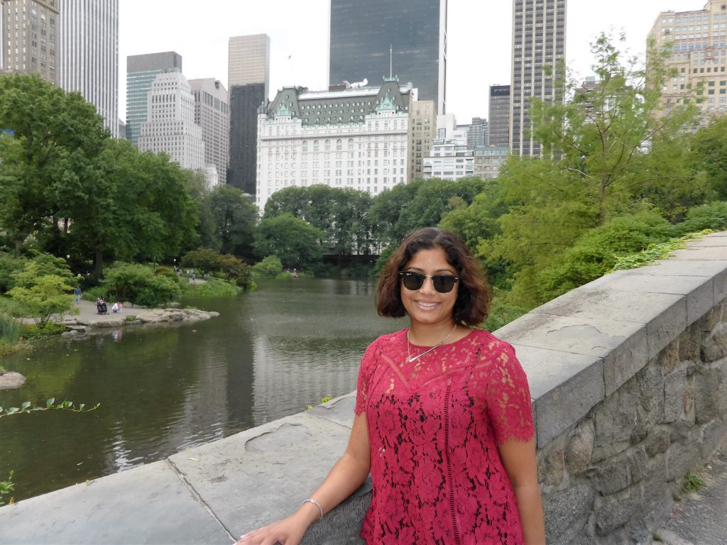 A bridge in Central Park