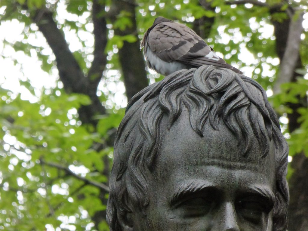 This is what birds think of Walter Scott