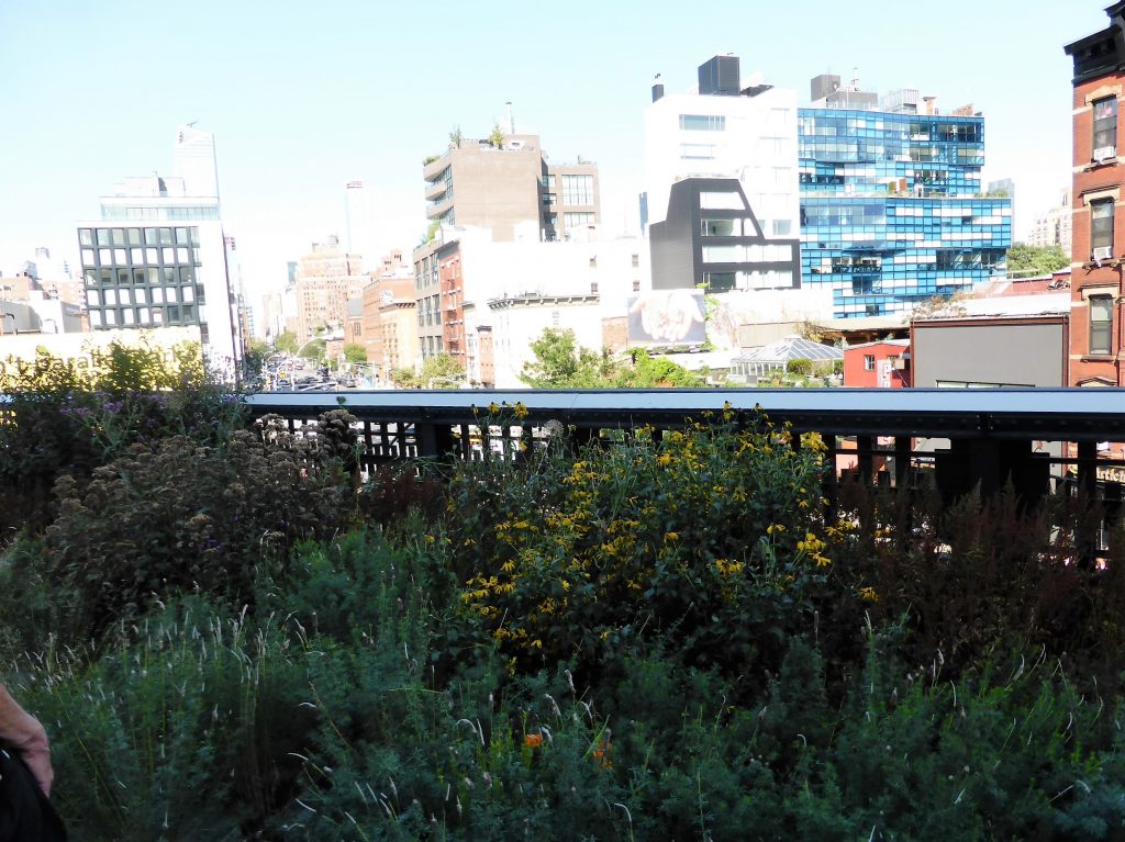 The highline